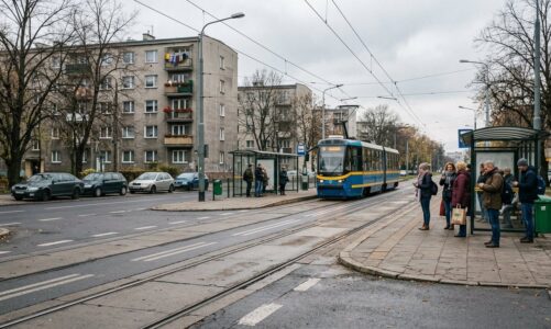 Prace drogowe na ul. Serbskiej w Poznaniu