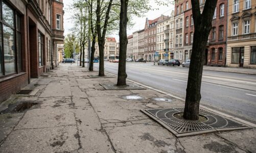 Modernizacja ulicy 23 Lutego: powiększenie terenów zielonych