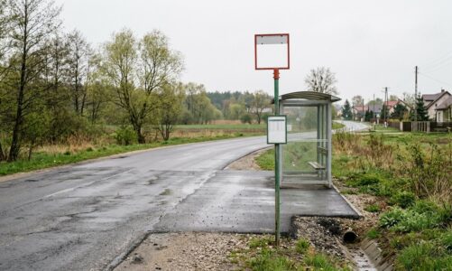 Zmiana w rozkładzie linii 202: nowy przystanek w Kożanach od 11 kwietnia