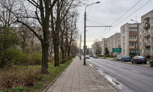 Obecność dzików w Łodzi: jak bezpiecznie zachować się podczas spotkania ze zwierzęciem