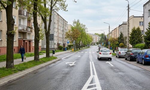 Zmiany w organizacji ruchu na ul. Lukrecjowej w Gdyni