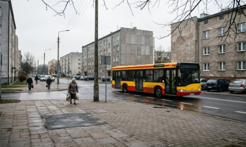Nowy nosorożec wrocławskiego zoo. Csülök dołączył do samicy Marusi