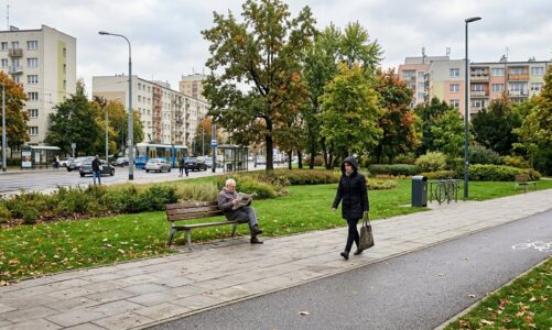 Wpłynęła petycja w sprawie standardów utrzymania zieleni miejskiej
